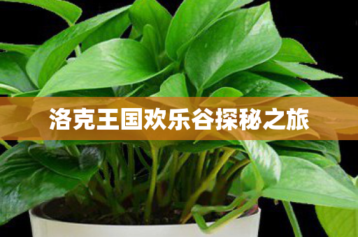 洛克王国欢乐谷探秘之旅图片