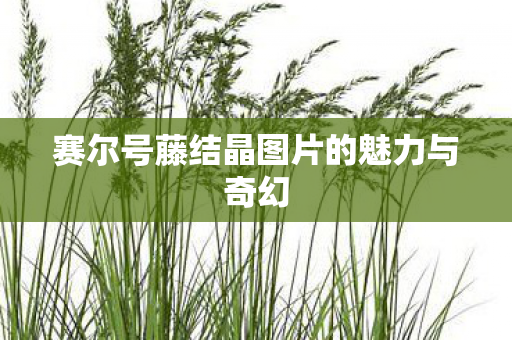赛尔号藤结晶图片的魅力与奇幻图片