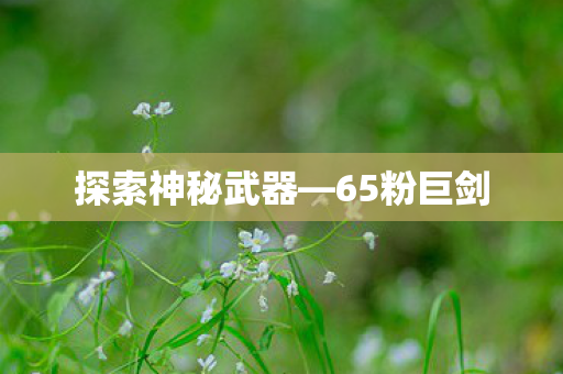 探索神秘武器图片