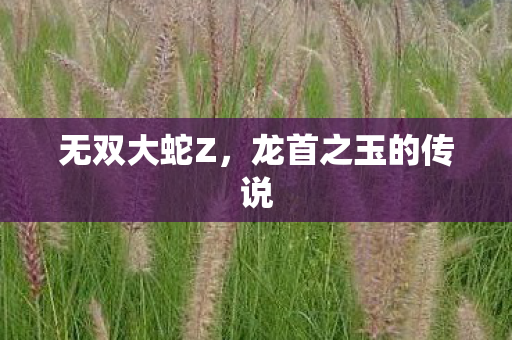 龙首之玉的传说图片