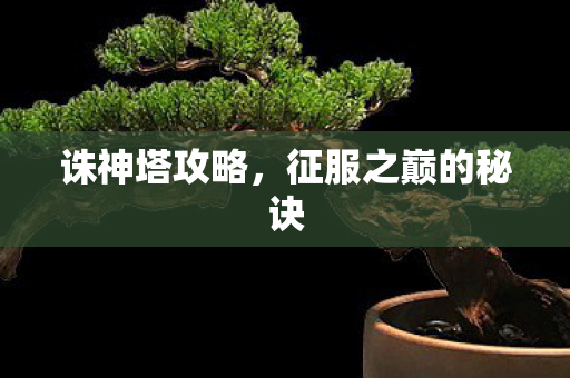 征服之巅的秘诀图片