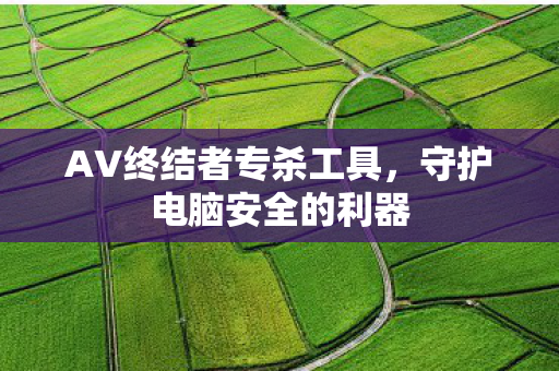 AV终结者专杀工具图片