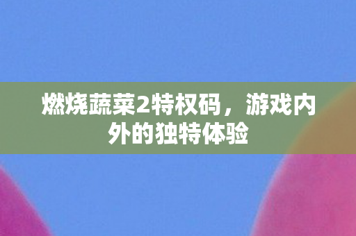 游戏内外的独特体验图片