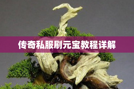 传奇私服刷元宝教程详解图片