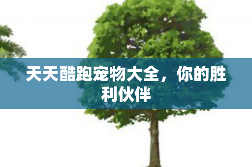 天天酷跑宠物大全图片