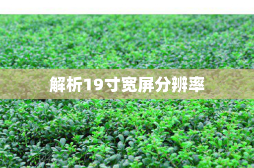 解析19寸宽屏分辨率图片