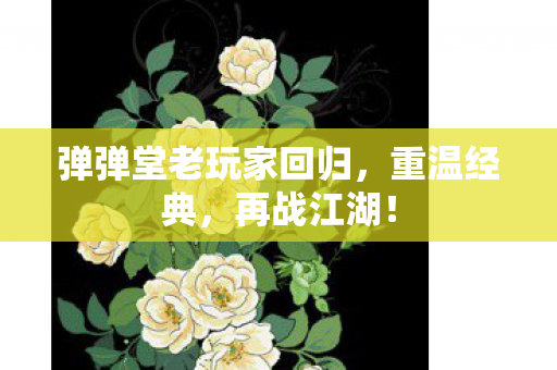 弹弹堂老玩家回归图片