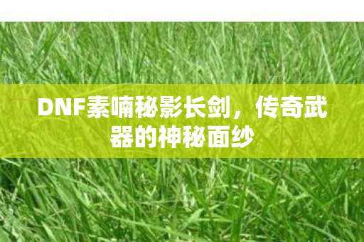 DNF素喃秘影长剑图片