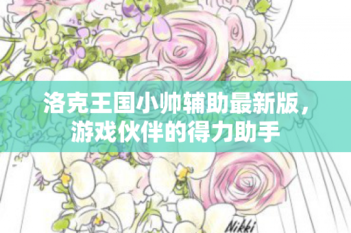 洛克王国小帅辅助最新版图片