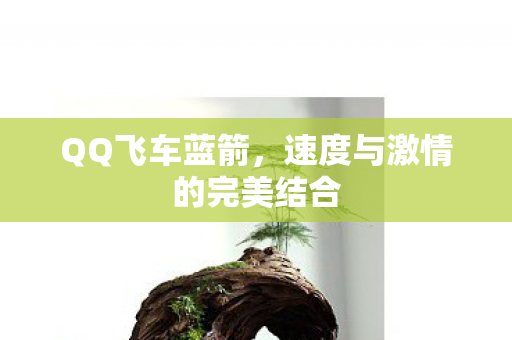 速度与激情的完美结合图片