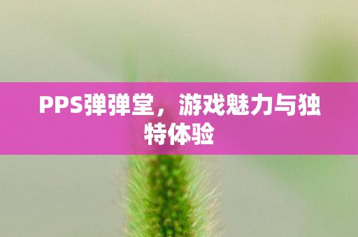 游戏魅力与独特体验图片