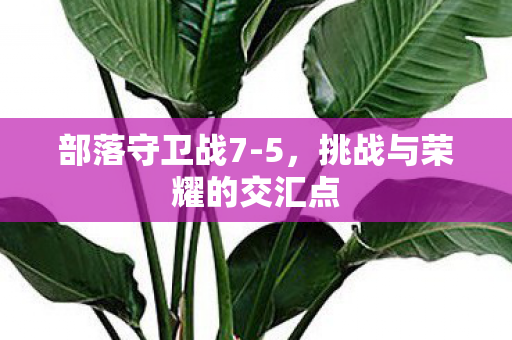 挑战与荣耀的交汇点图片