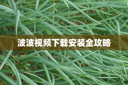 波波视频下载安装全攻略图片