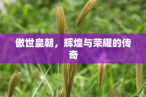 辉煌与荣耀的传奇图片