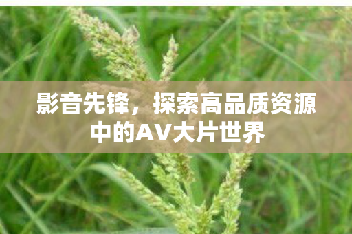 探索高品质资源中的AV大片世界图片