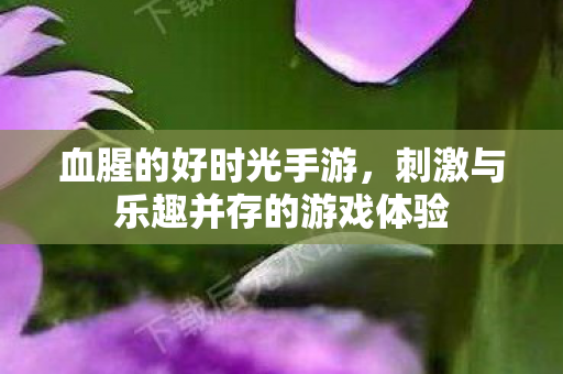 刺激与乐趣并存的游戏体验图片