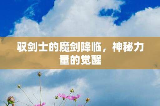 驭剑士的魔剑降临图片
