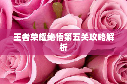 王者荣耀绝悟第五关攻略解析图片