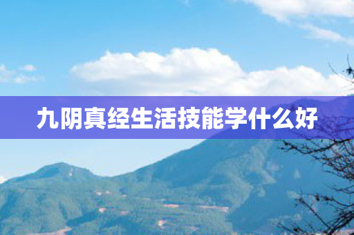 九阴真经生活技能学什么好图片