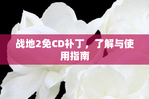 战地2免CD补丁图片