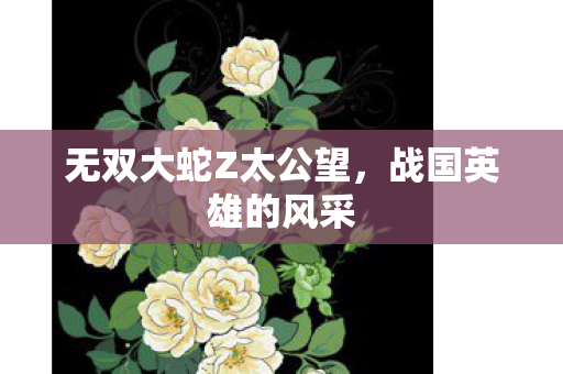 无双大蛇Z太公望图片