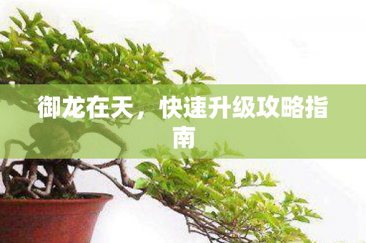 快速升级攻略指南图片