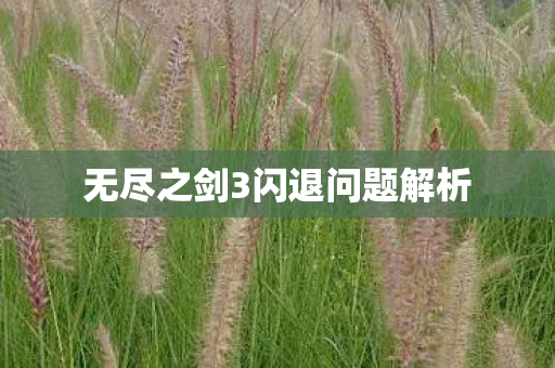 无尽之剑3闪退问题解析图片