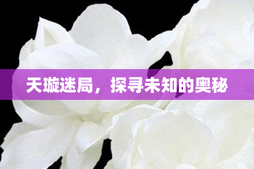 探寻未知的奥秘图片