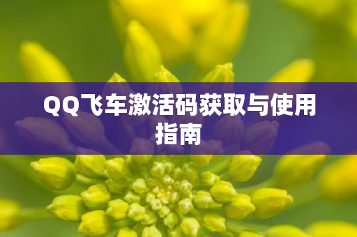 QQ飞车激活码获取与使用指南图片