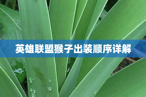 英雄联盟猴子出装顺序详解图片