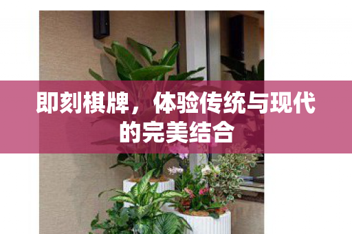 体验传统与现代的完美结合图片