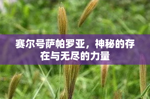 神秘的存在与无尽的力量图片