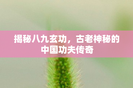 古老神秘的中国功夫传奇图片