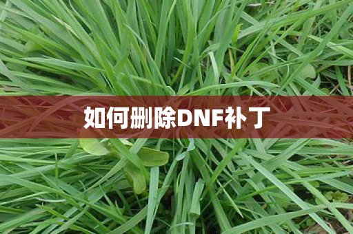 如何删除DNF补丁图片