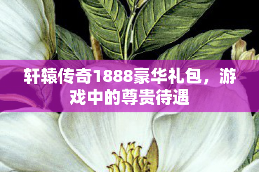 轩辕传奇1888豪华礼包图片