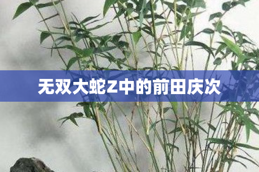 无双大蛇Z中的前田庆次图片