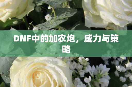 DNF中的加农炮图片