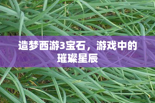 游戏中的璀璨星辰图片