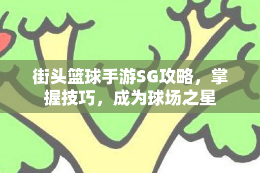 街头篮球手游SG攻略图片