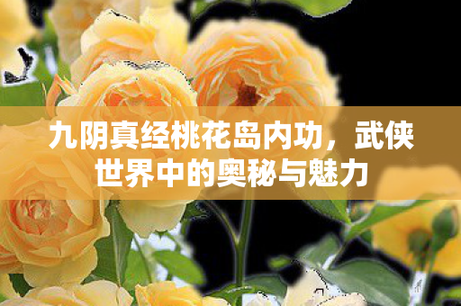武侠世界中的奥秘与魅力图片