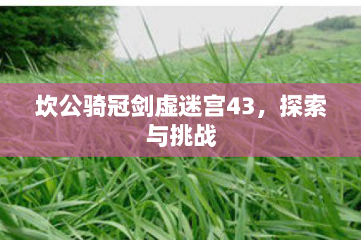 坎公骑冠剑虚迷宫43图片