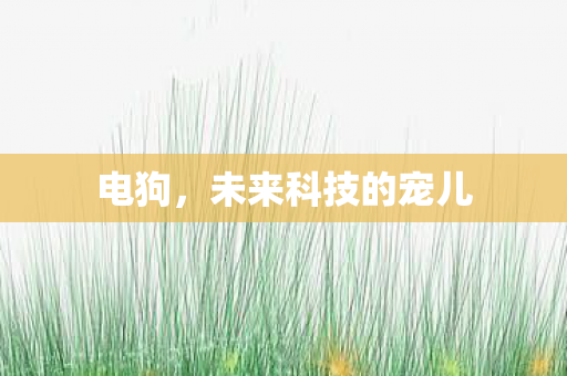 未来科技的宠儿图片