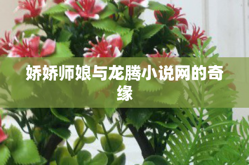 娇娇师娘与龙腾小说网的奇缘图片