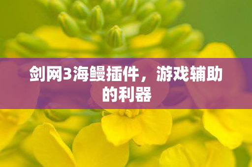 剑网3海鳗插件图片