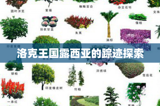 洛克王国露西亚的踪迹探索图片
