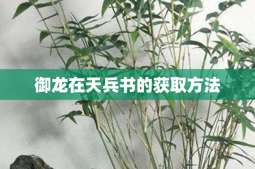 御龙在天兵书的获取方法图片