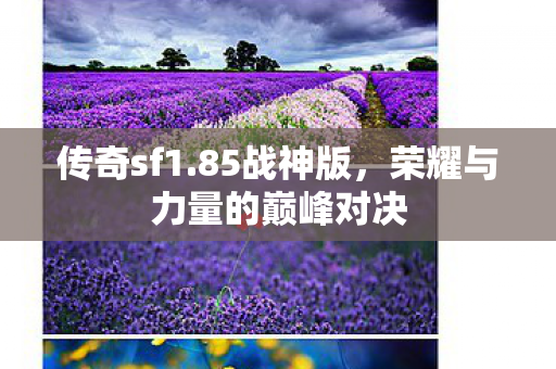 荣耀与力量的巅峰对决图片
