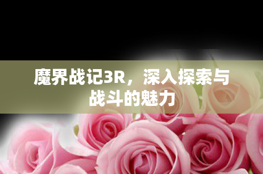 深入探索与战斗的魅力图片