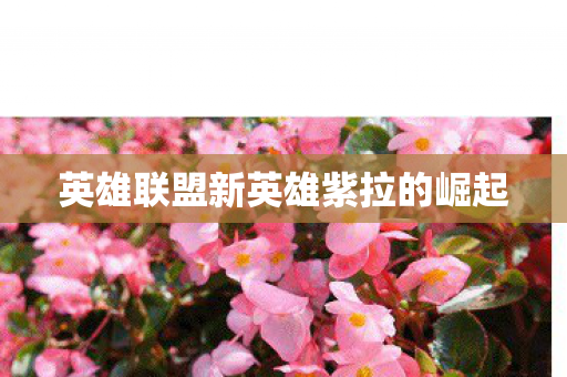 英雄联盟新英雄紫拉的崛起图片