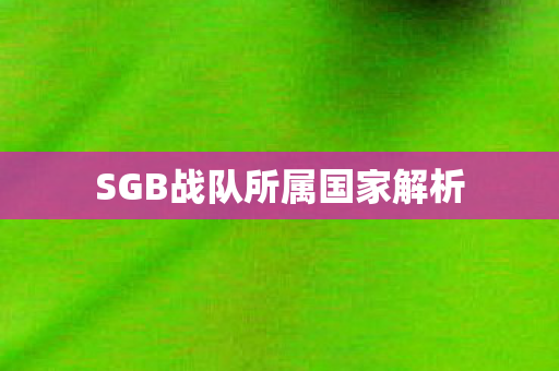 SGB战队所属国家解析图片